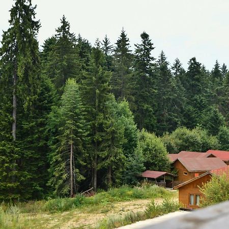 Apartmán Iglika 2, V9 Borovec Exteriér fotografie